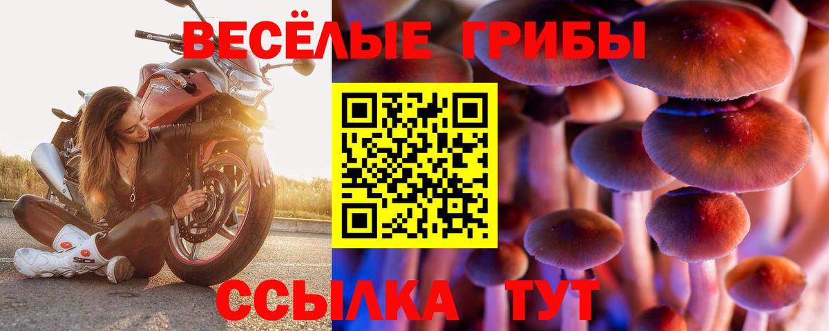 Галлюциногенные грибы мухоморы  Галлюциногенные грибы GOLDEN TEACHER  Вход с VPN  Лангепас 